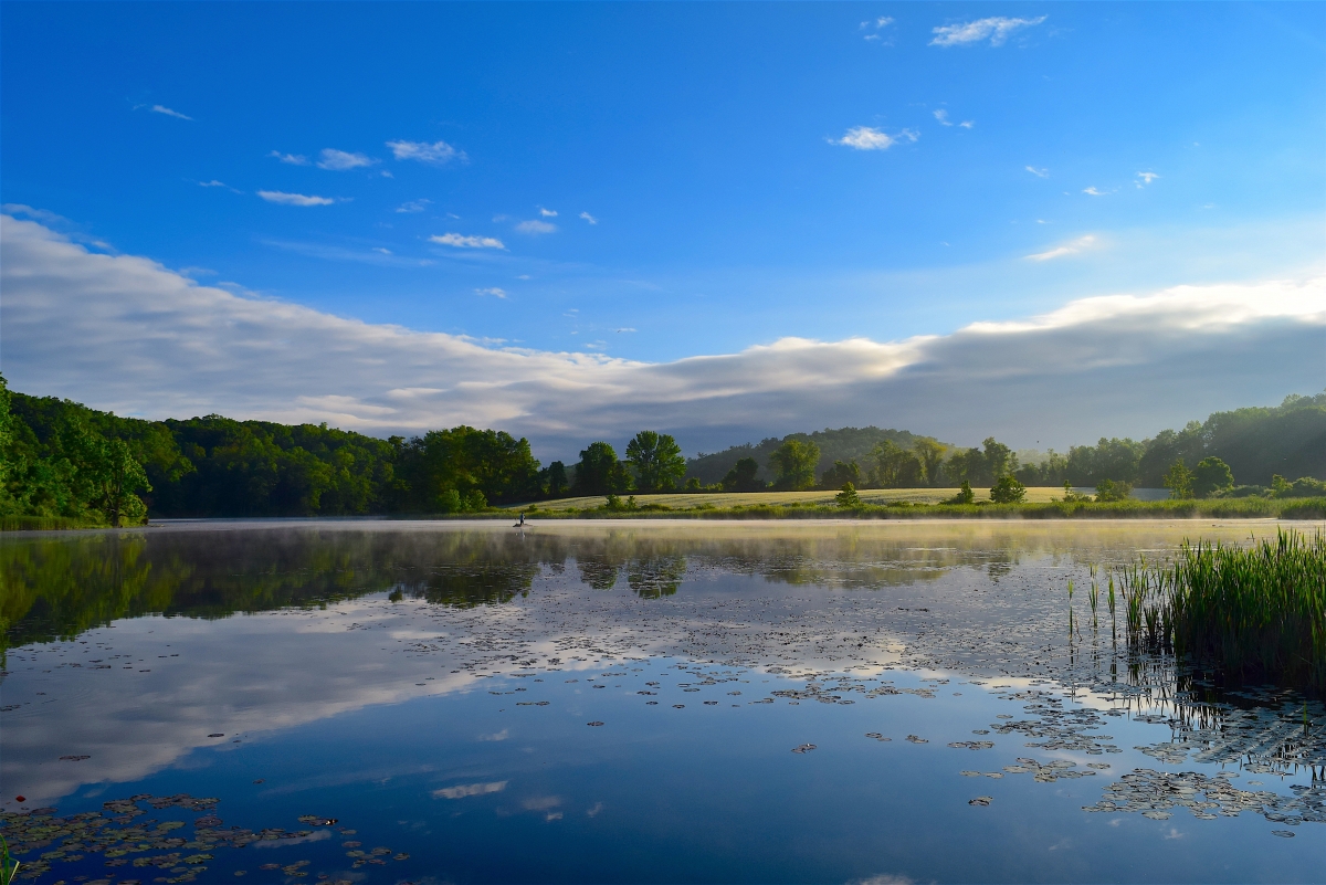树林 天空 云 日出 自然风景图片 湖