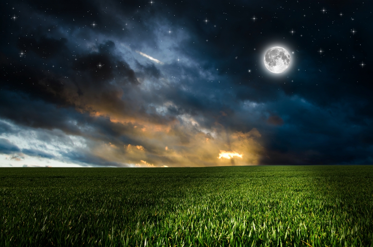 草地 天空 晚上 田地 绿色 月亮 星星 风景图片 云