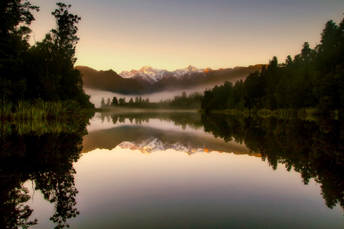 日出 雾 上午 森林 树 自然风景图片 新西兰