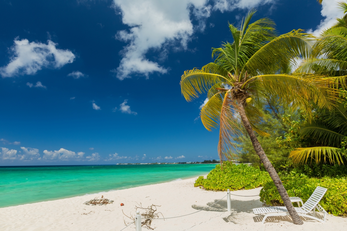 夏季海滩海边棕榈树风景图片