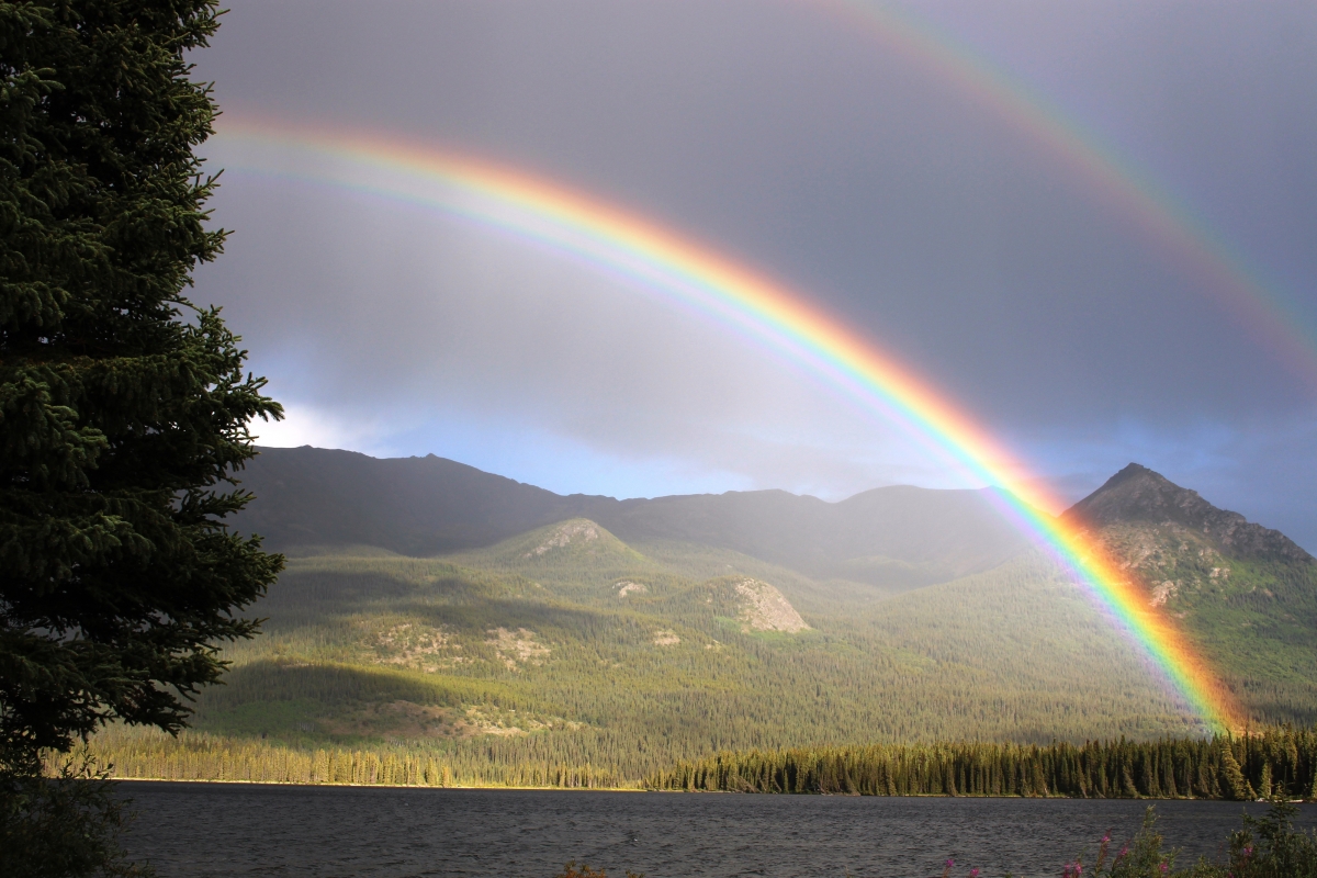 双彩虹 不列颠哥伦比亚省帕默湖 风景图片 彩虹