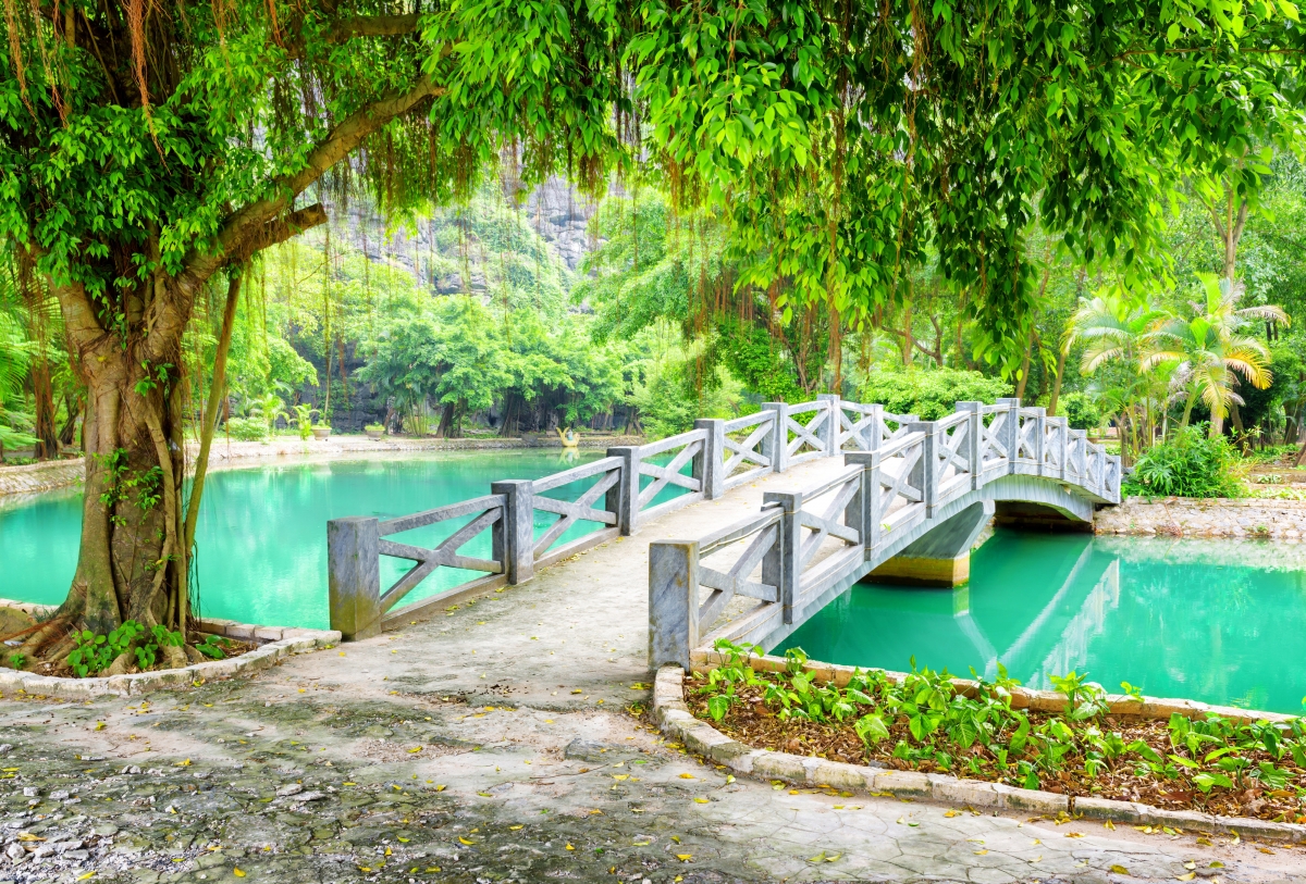 公园 树 叶子 桥梁 越南风景图片 池塘