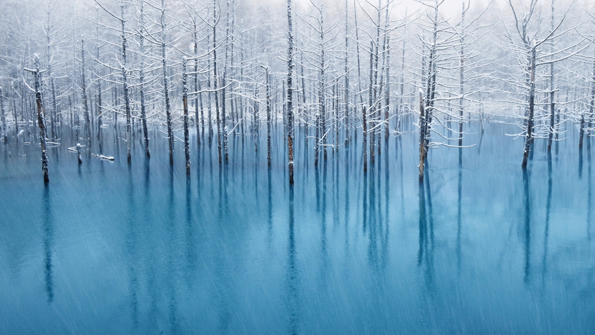 冬天风景图片 蓝色的池塘
