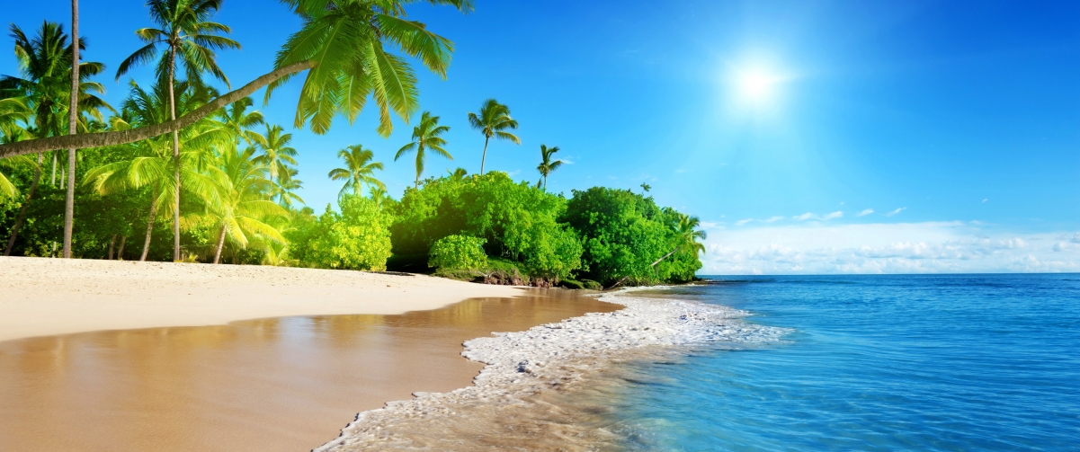 蔚蓝的大海,阳光,棕榈树,沙滩,3440x1440风景图片