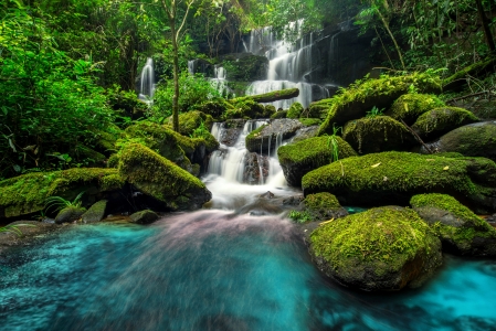 自然森林小溪瀑布风景图片