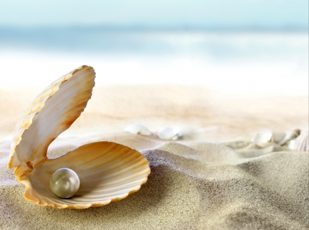 贝壳,沙滩,珍珠,高清图片