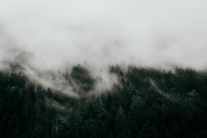 白茫茫的雾风景图(21张高清图片)