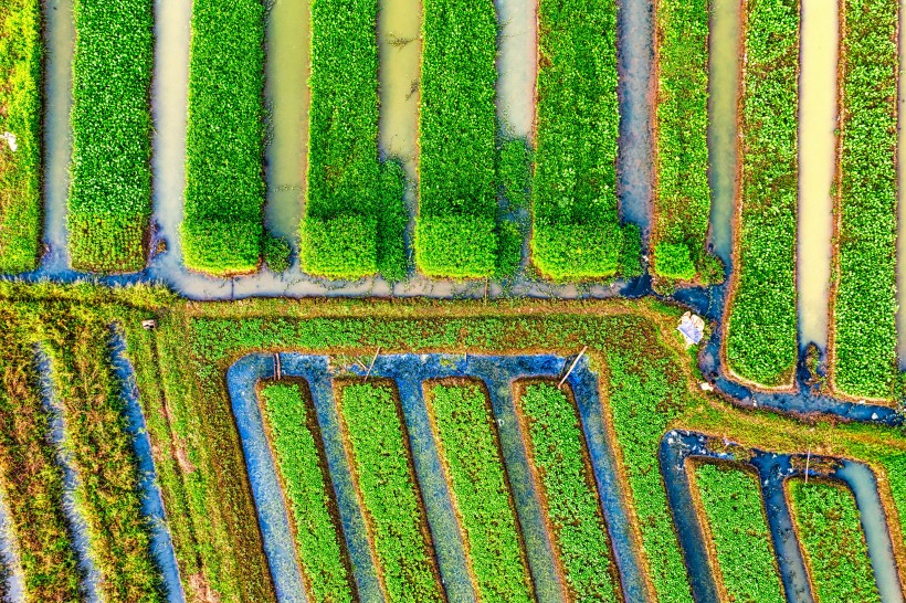 无人机拍摄的农田图(11张高清图片)