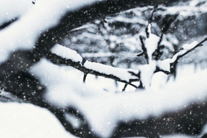 白茫茫的冬季图(12张高清图片)