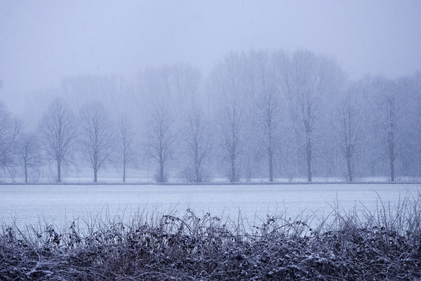 冬季皑皑白雪风景图(14张高清图片)