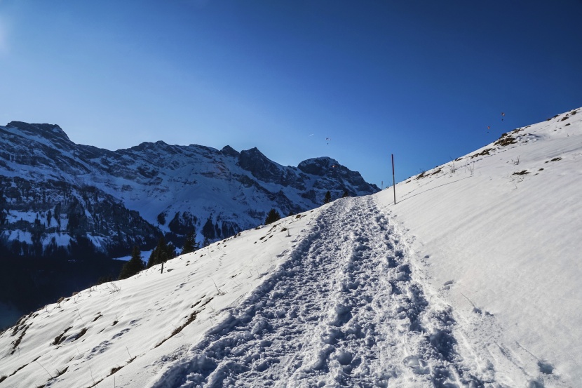 冬季皑皑白雪风景图(14张高清图片)